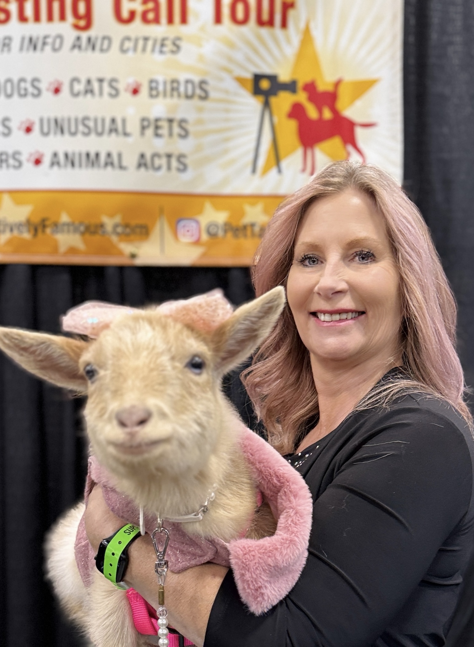 Now Casting Audition Your Pet For TV Print Film