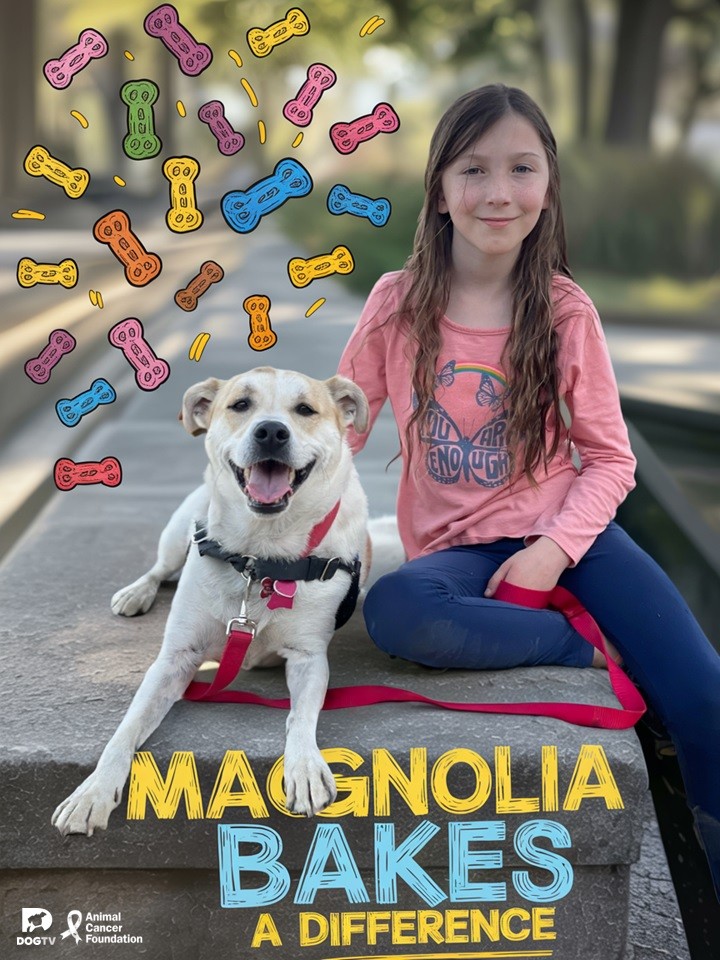 DOGTV presents Magnolia Bakes a Difference