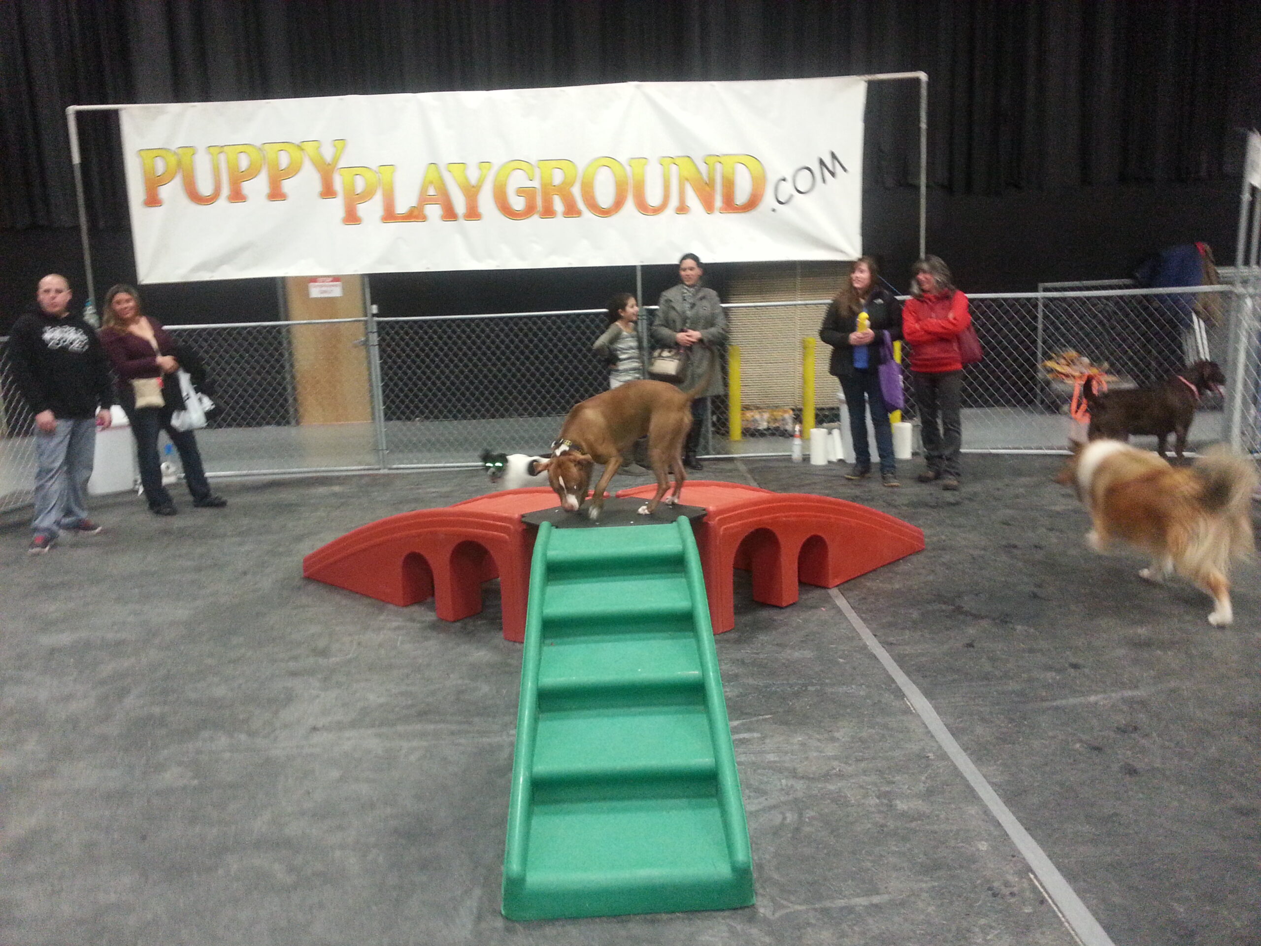 Puppy Playground